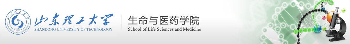 bw西汉姆联